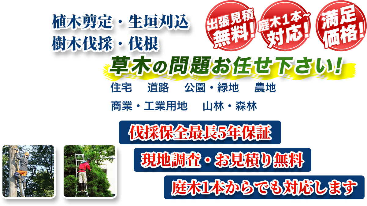 熊本市エリア即対応!! 出張無料! 庭木1本~対応! 満足価格! 植木剪定・生垣刈込 樹木伐採・伐根 草木の問題お任せ下さい! 住宅 道路 公園・緑地 農地 商業・工業用他 山林・森林 伐採保全最長5年保証 現地調査・お見積り無料 庭木1本からでも対応します